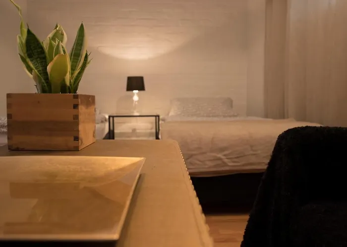 Apartment Studio-apartments&möblierte Für Monteure Zentral In *